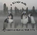 Chovatelska stanice ps�: Z KRAJE MLH